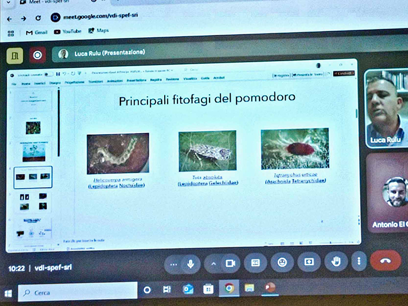 BBHORT Presentation at Giornata della Ricerca sull’Orticoltura Sostenibile