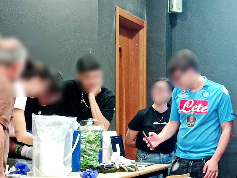 Open Day 2: Bioactive Compounds - Image 1